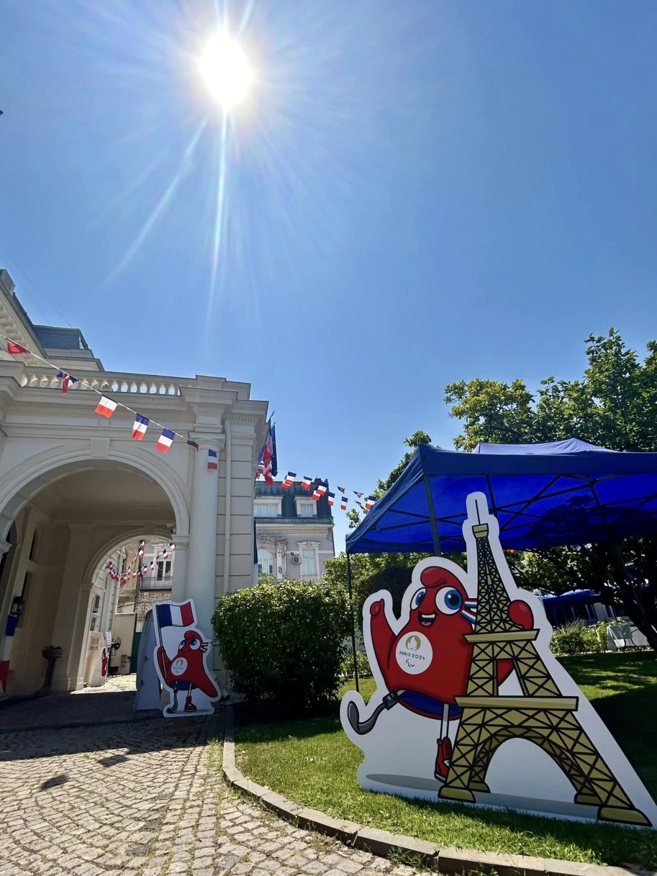 Ambasadorul Franței în România: 