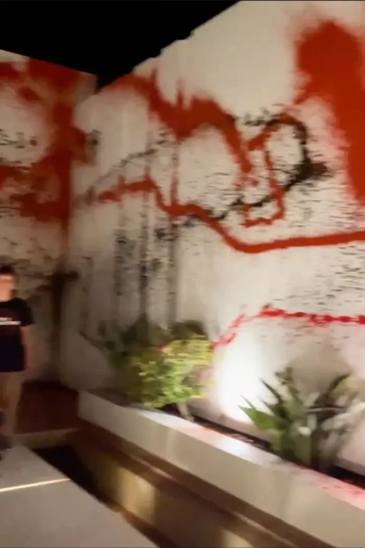 Vila de 11 milioane de euro a lui Lionel Messi, vandalizată de activiștii de mediu: ”Este construită ilegal!”_12