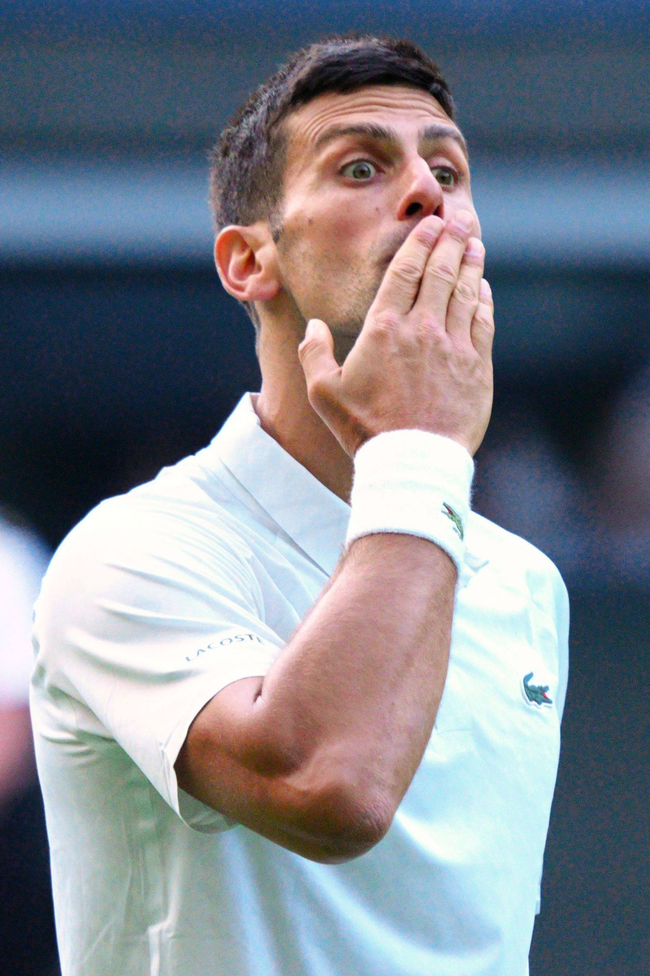 Novak Djokovic l-a emoționat până la lacrimi pe Sam Querrey: ”N-am plâns nici când m-am căsătorit sau la nașterea copiilor. Soția a plâns și ea” _20
