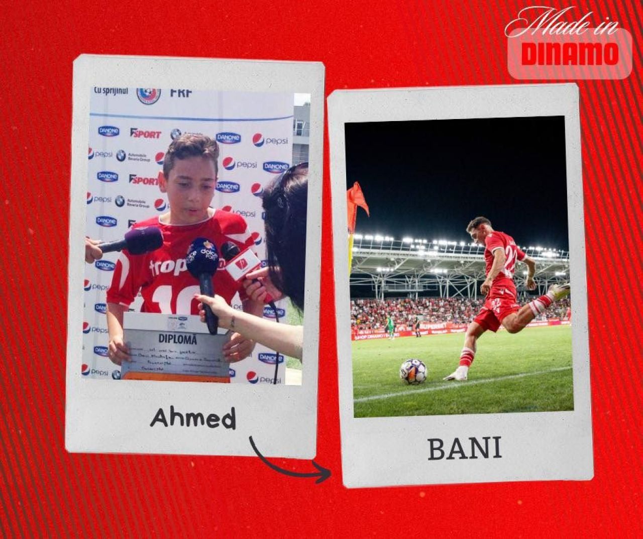 Ei sunt câinii