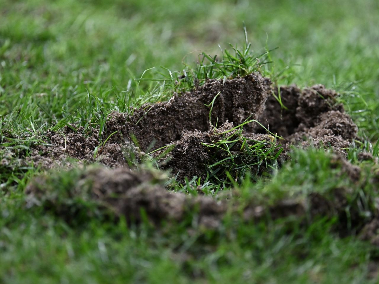 Cele mai tari imagini din România - Lituania 3-1_14