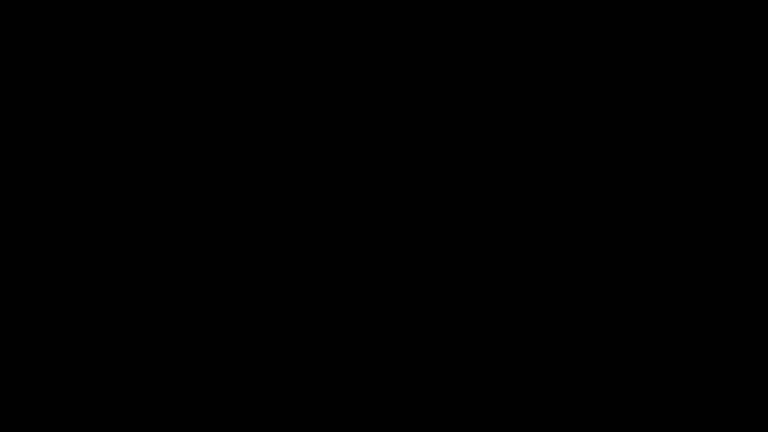 Ronald Gavril, antrenament dur (23 octombrie 2024)