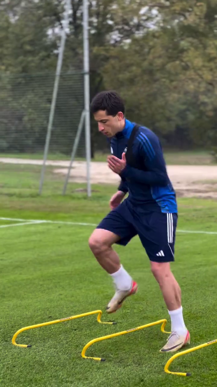 Vlcsnap 2024 11 12 19h41m56s483