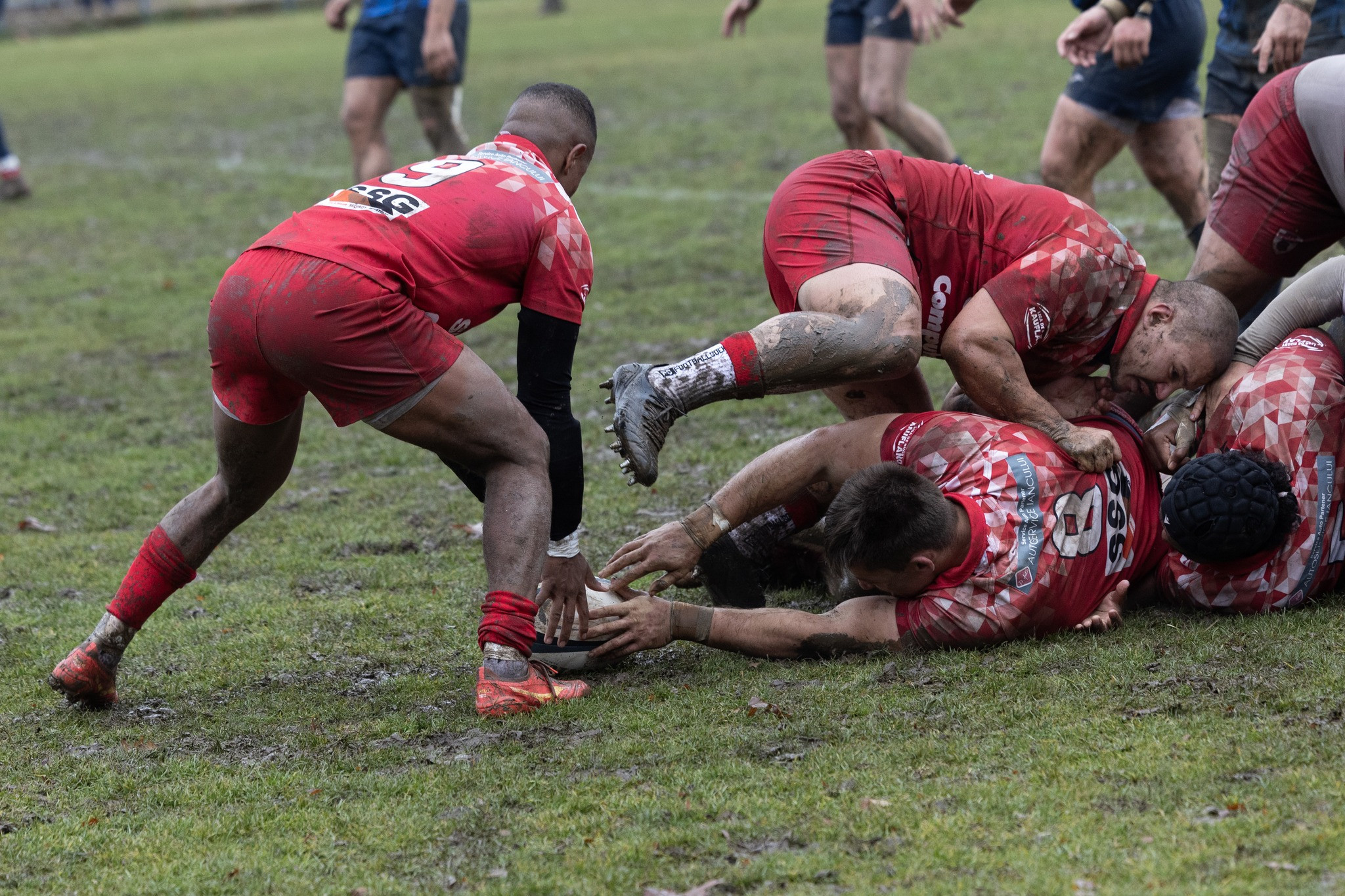 Dinamo steaua 17 17 la rugby 6