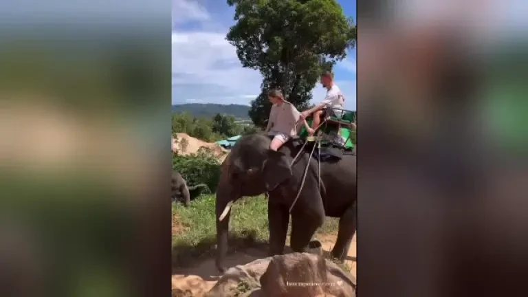 Starurile de la FCSB, vacanțe exotice de Crăciun! Cum a fost surprins Dawa