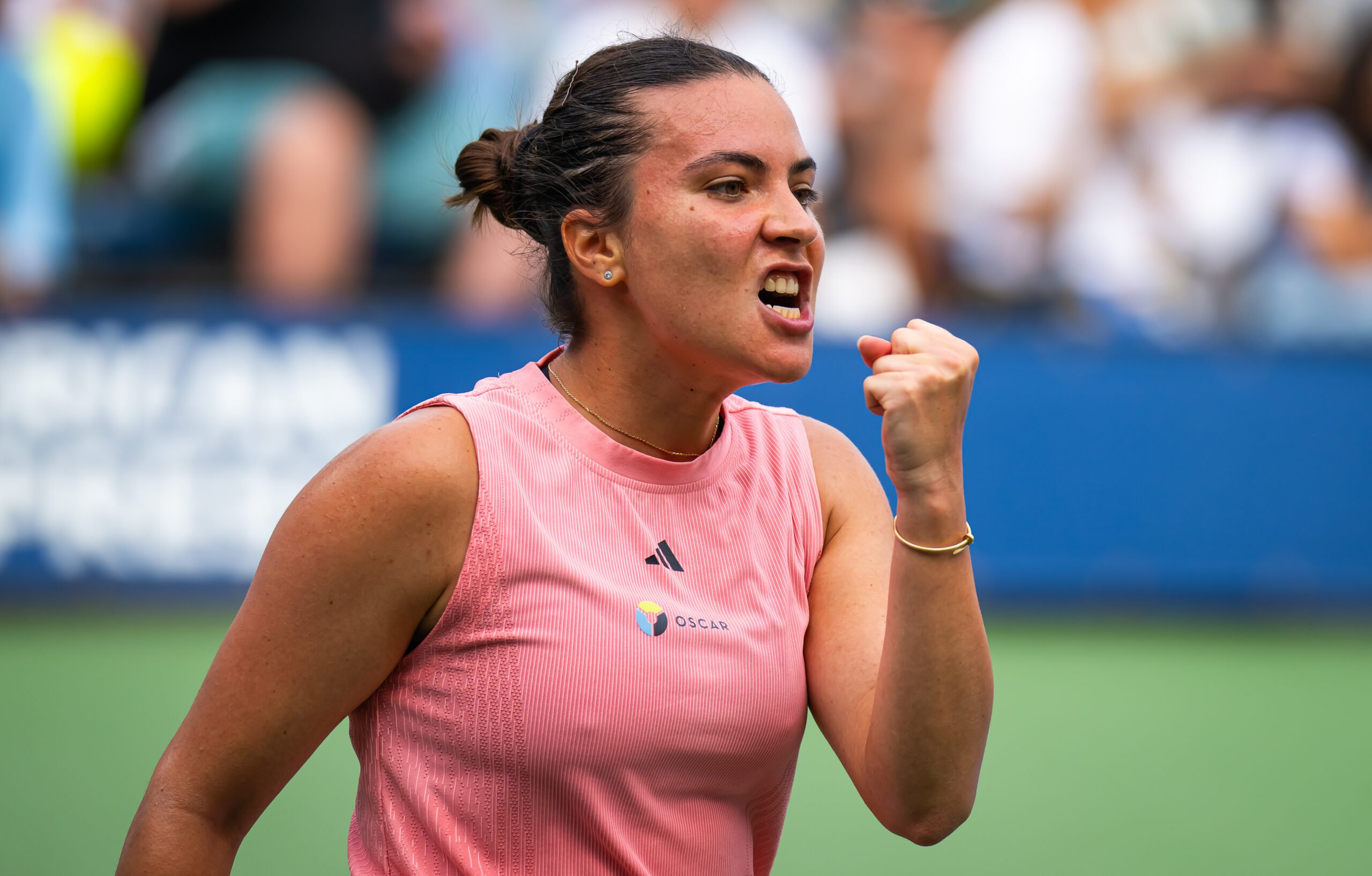 Ruse - Begu, meciul &icirc;nceputului de an pentru Rom&acirc;nia, la Australian Open: ora partidei care pune la bătaie o sumă colosală