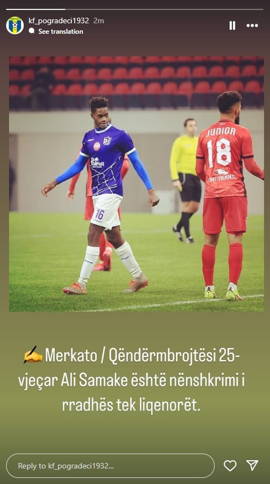 Samake pogradeci