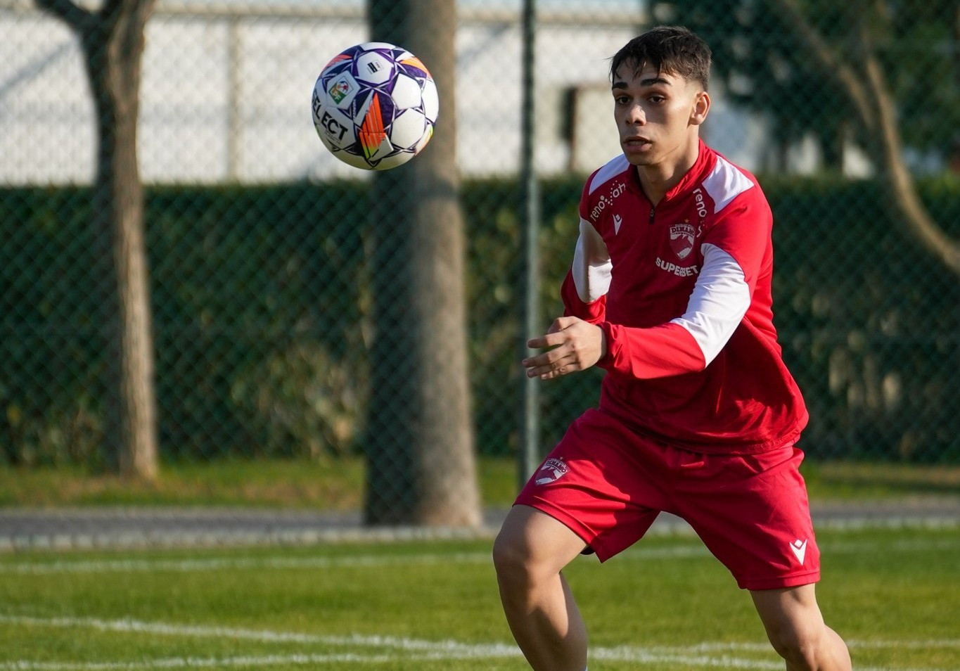 Dinamo, anunț despre echipa secundă a &rdquo;c&acirc;inilor&rdquo;! Cu cine și c&acirc;nd se realizează proiectul