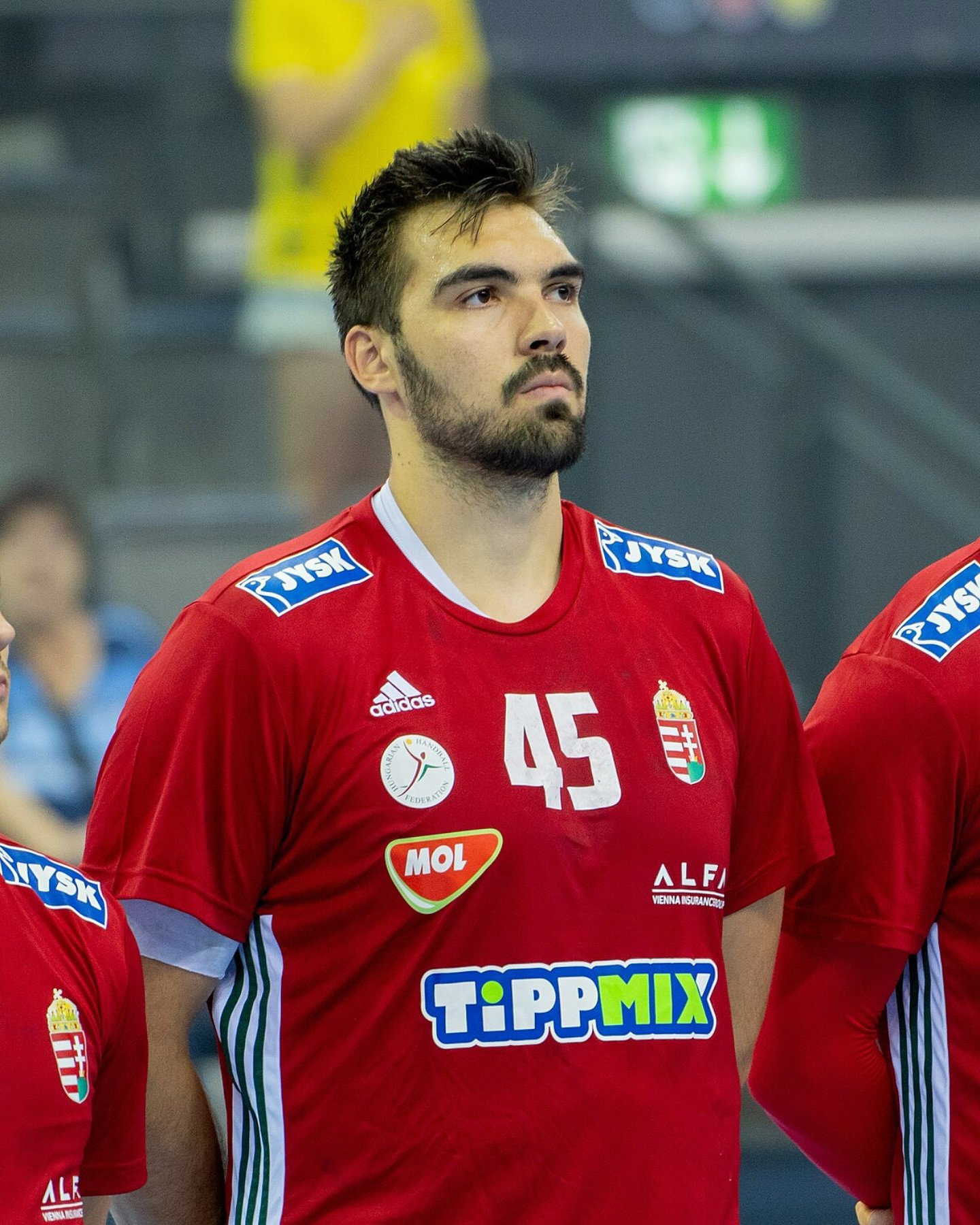 Rosta dinamo ungaria