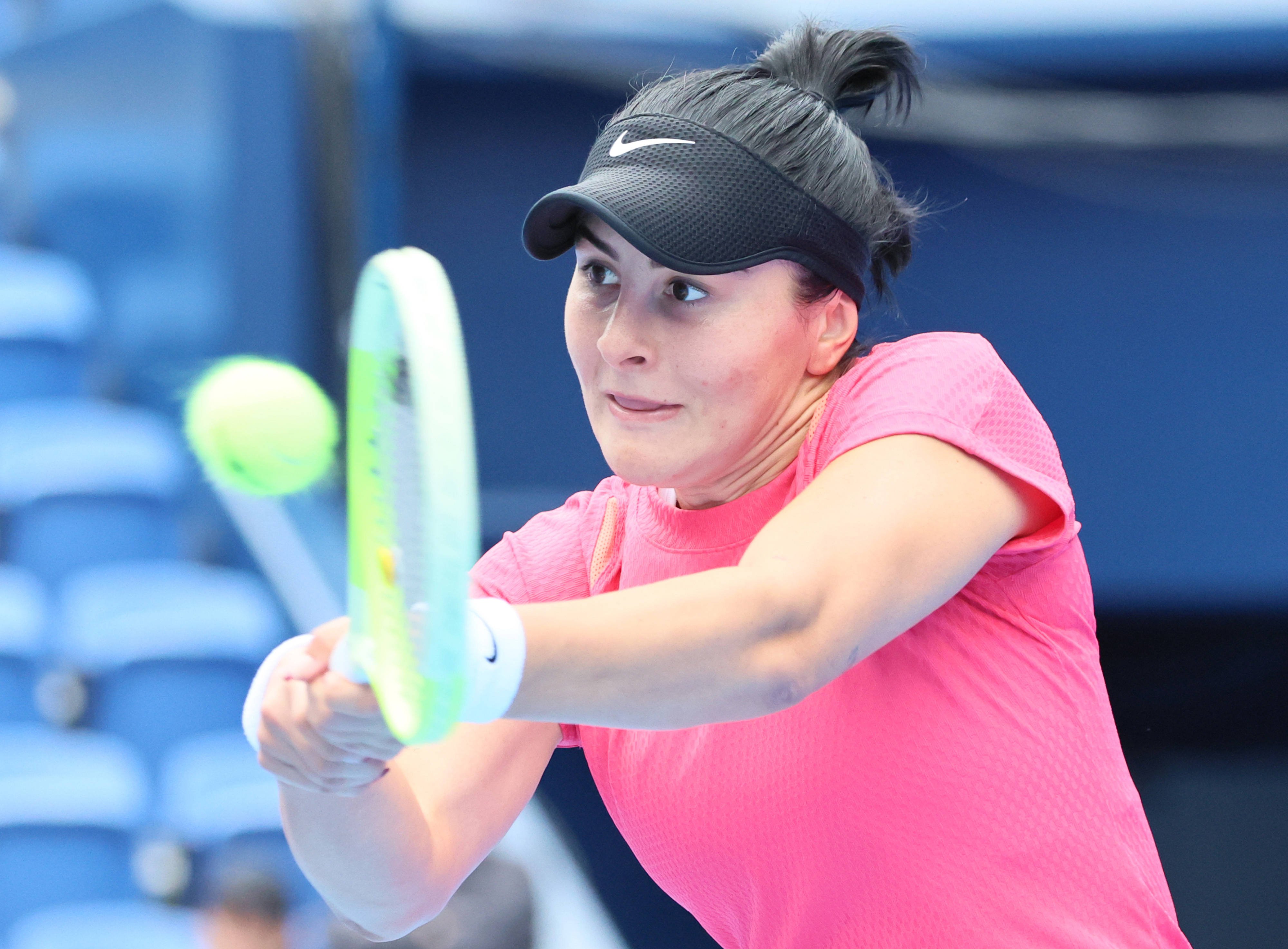 Andreescu1 imago