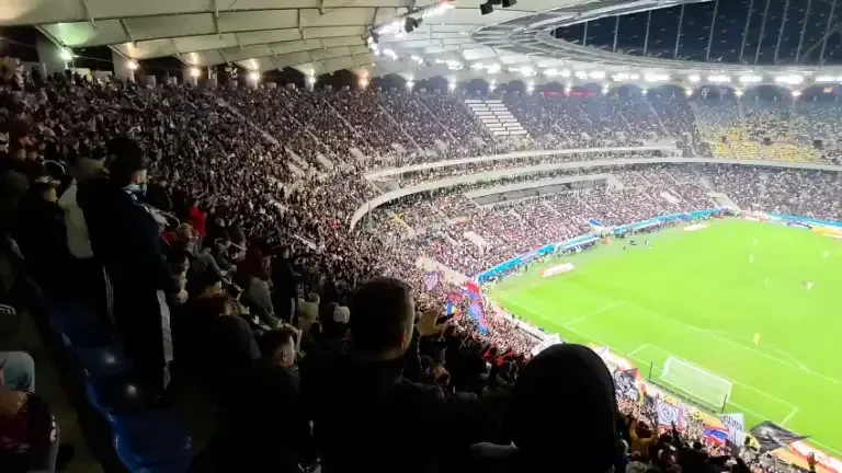 Gestul făcut de fanii FCSB față de Mirel Rădoi în timpul meciului de pe Arena Națională