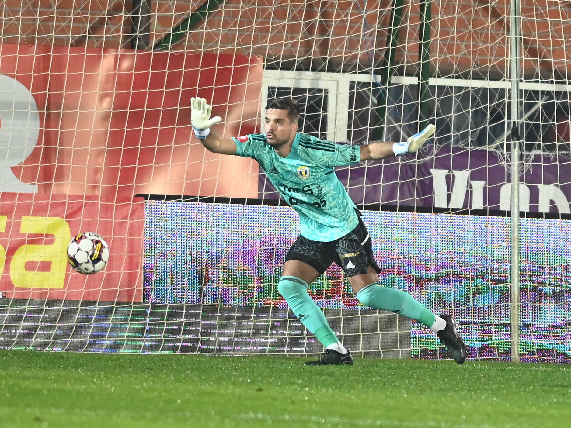 Leitner petrolul imago1017569214