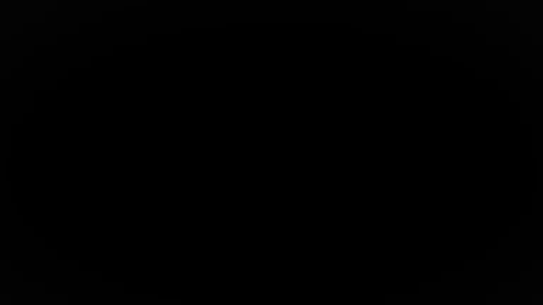 Conferință de presă Ioan Ovidiu Sabău, &icirc;naintea partidei cu Rapid (22/05/2025)