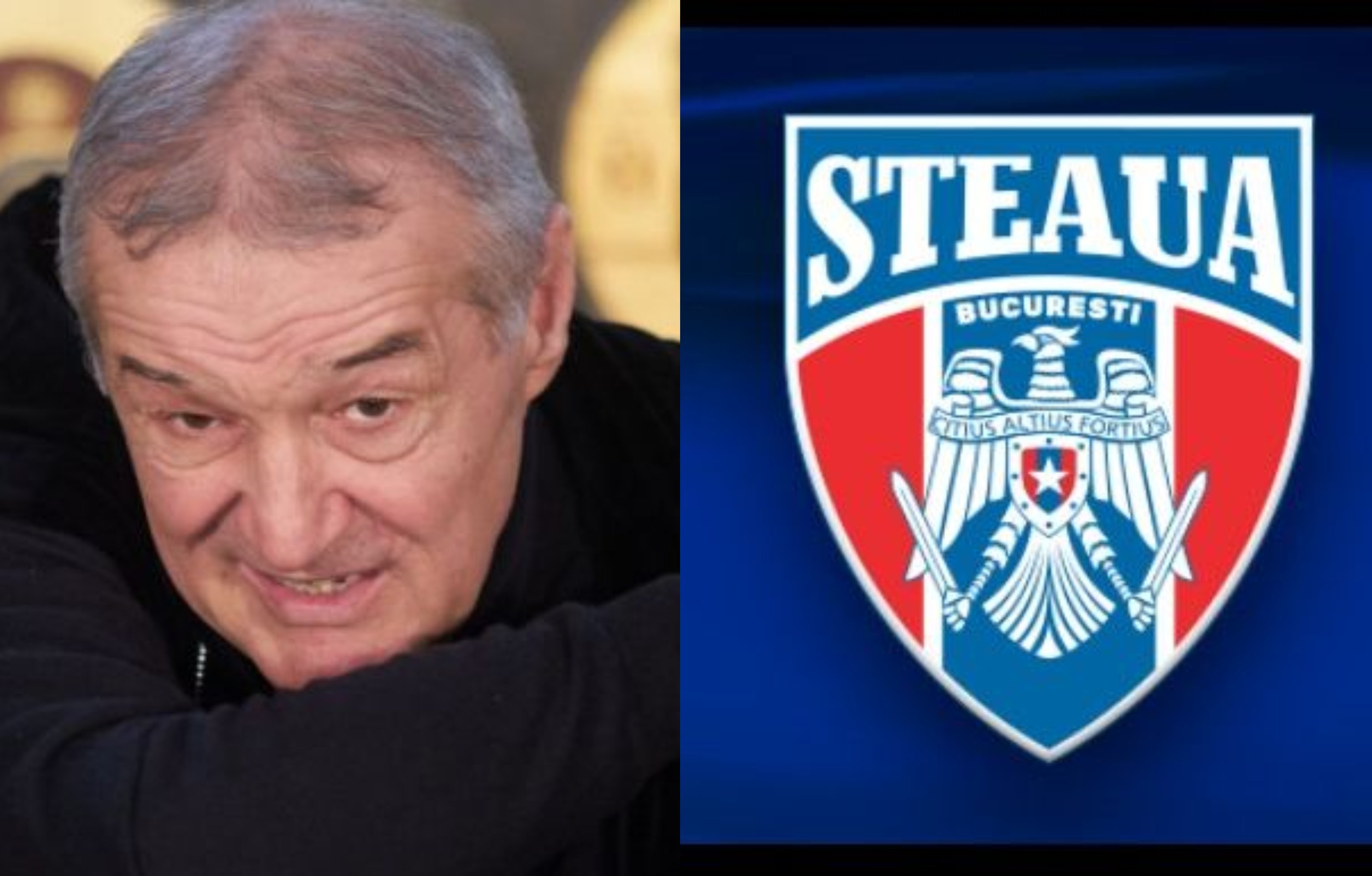 Gigi Becali a taxat-o pe Steaua: &bdquo;De ce să fie aberație? CSA a făcut licitație, s-a făcut hotăr&acirc;re de Guvern?&rdquo;