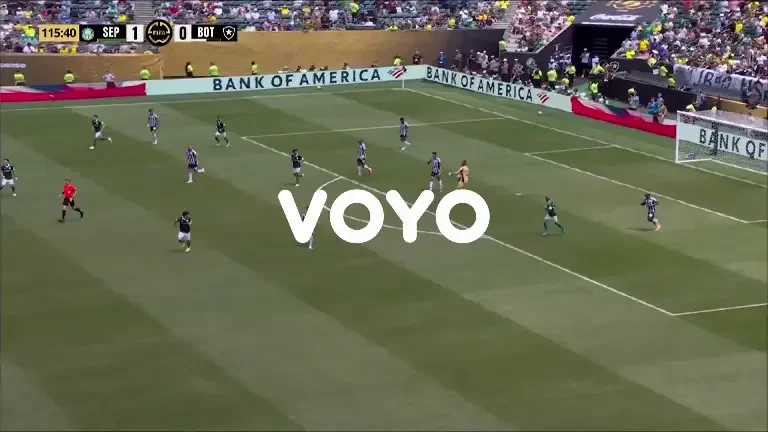 CWC | Cartonaș roșu Palmeiras - Botafogo (28-06-2025)
