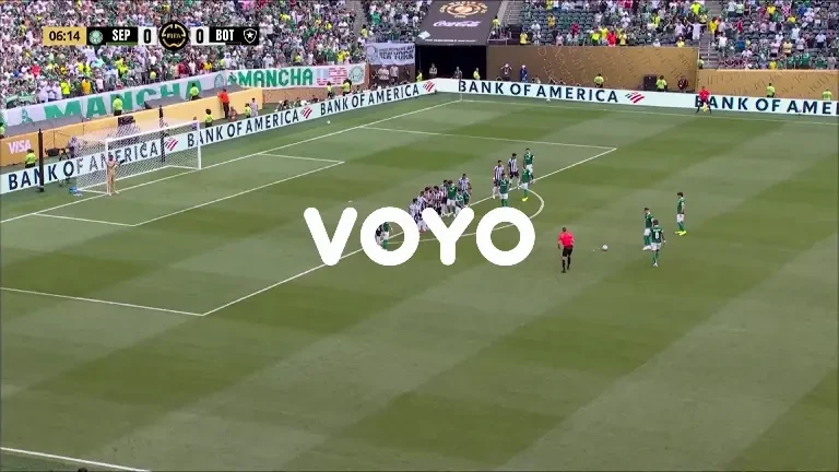 CWC | Rezumat Palmeiras - Botafogo 1-0 (28-06-2025)