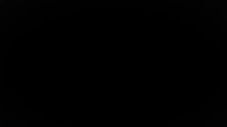 Interviu cu Alessandro Murgia, fost jucător la Lazio, acum la U Cluj (29 iunie 2025)