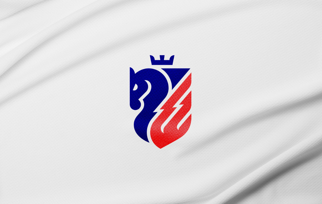 Care e faza cu sigla FC Botoșani: ce reprezintă și de ce a fost aleasă