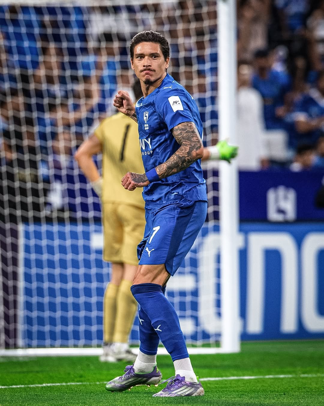 Vamos