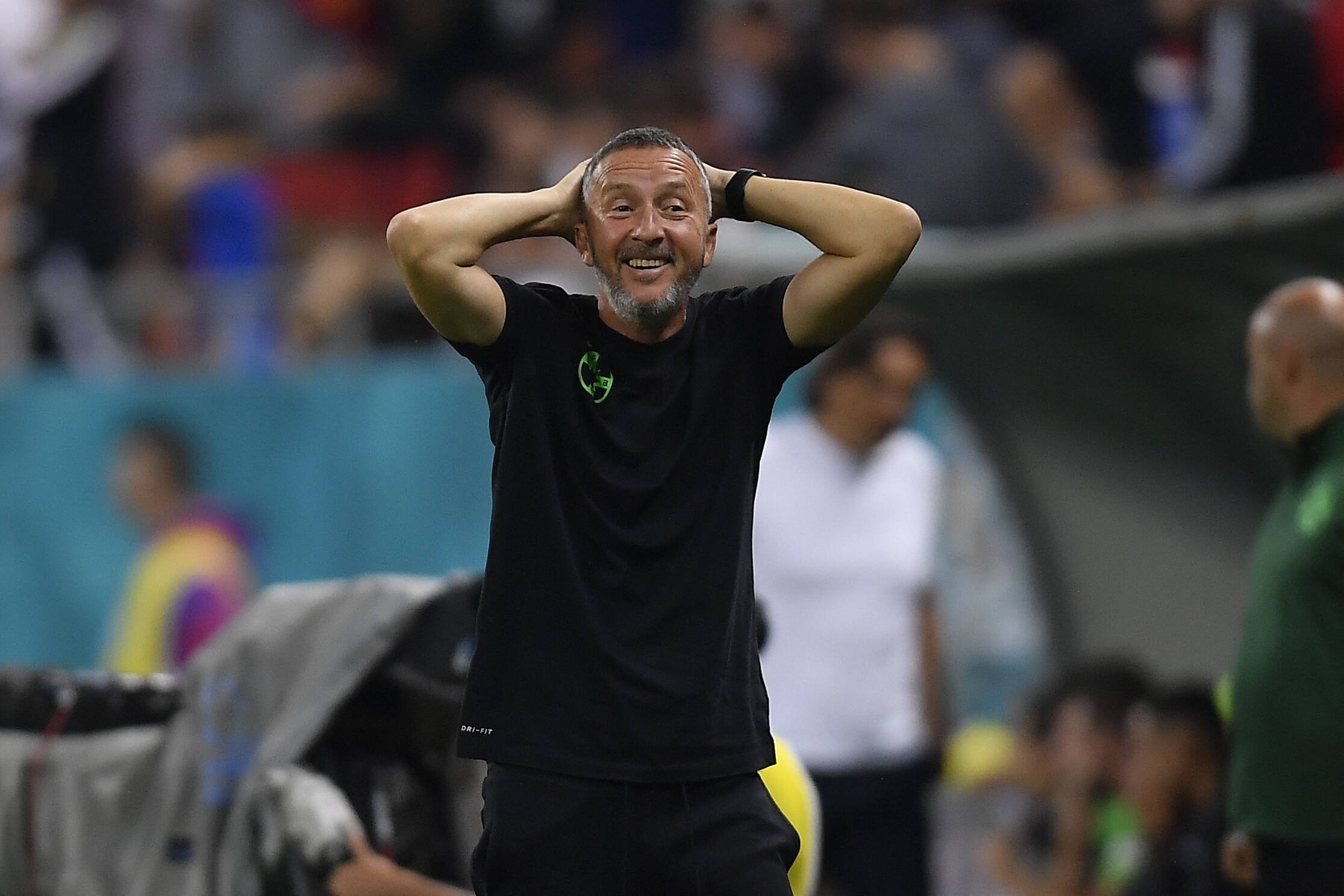 Și-a revenit MM Stoica! Ironii la adresa lui Dinamo: &rdquo;Cu altă ocazie&rdquo;