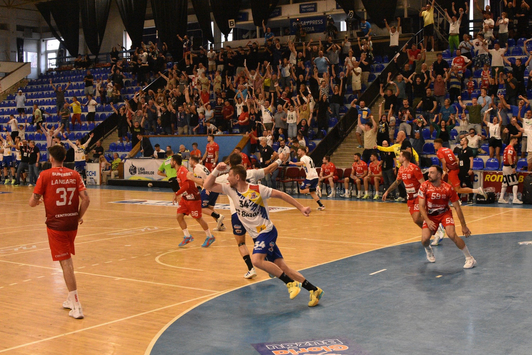 Lupii, bă! După ce a bătut campioana Dinamo, liderul surpriză din Liga Zimbrilor a &icirc;nvins și vicecampioana