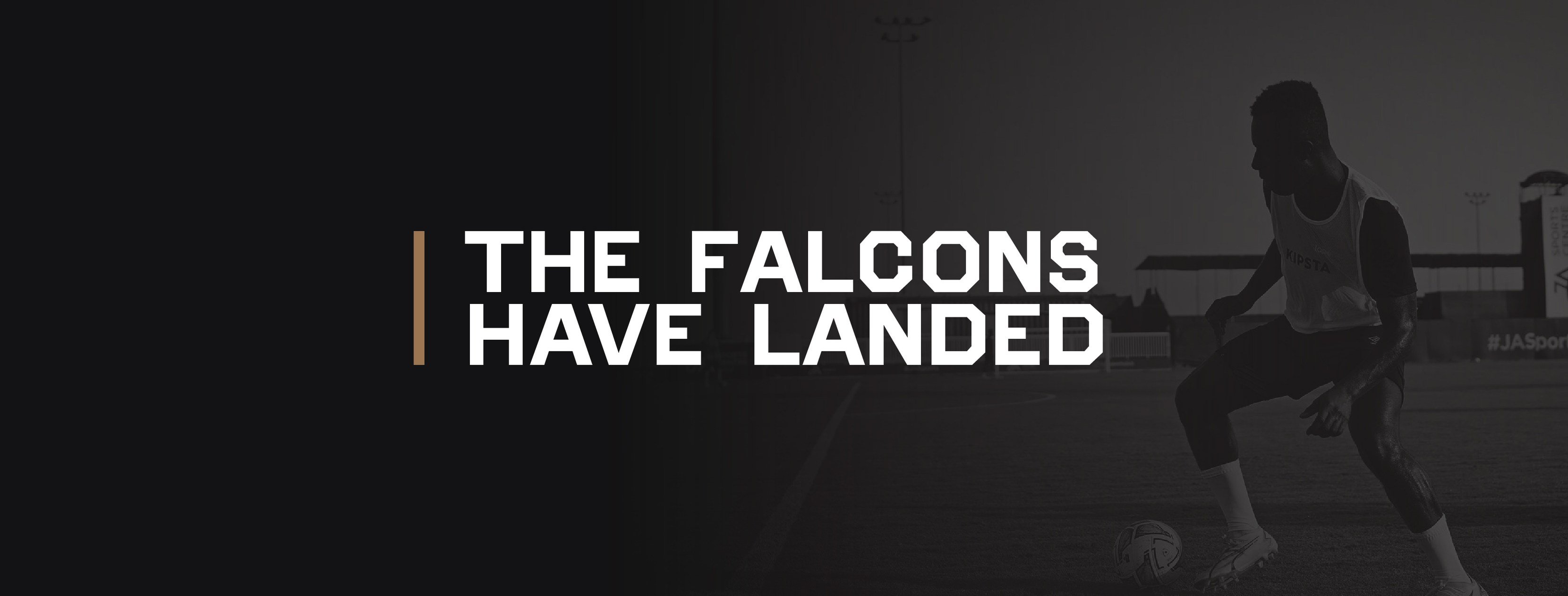Arabian falcons 1