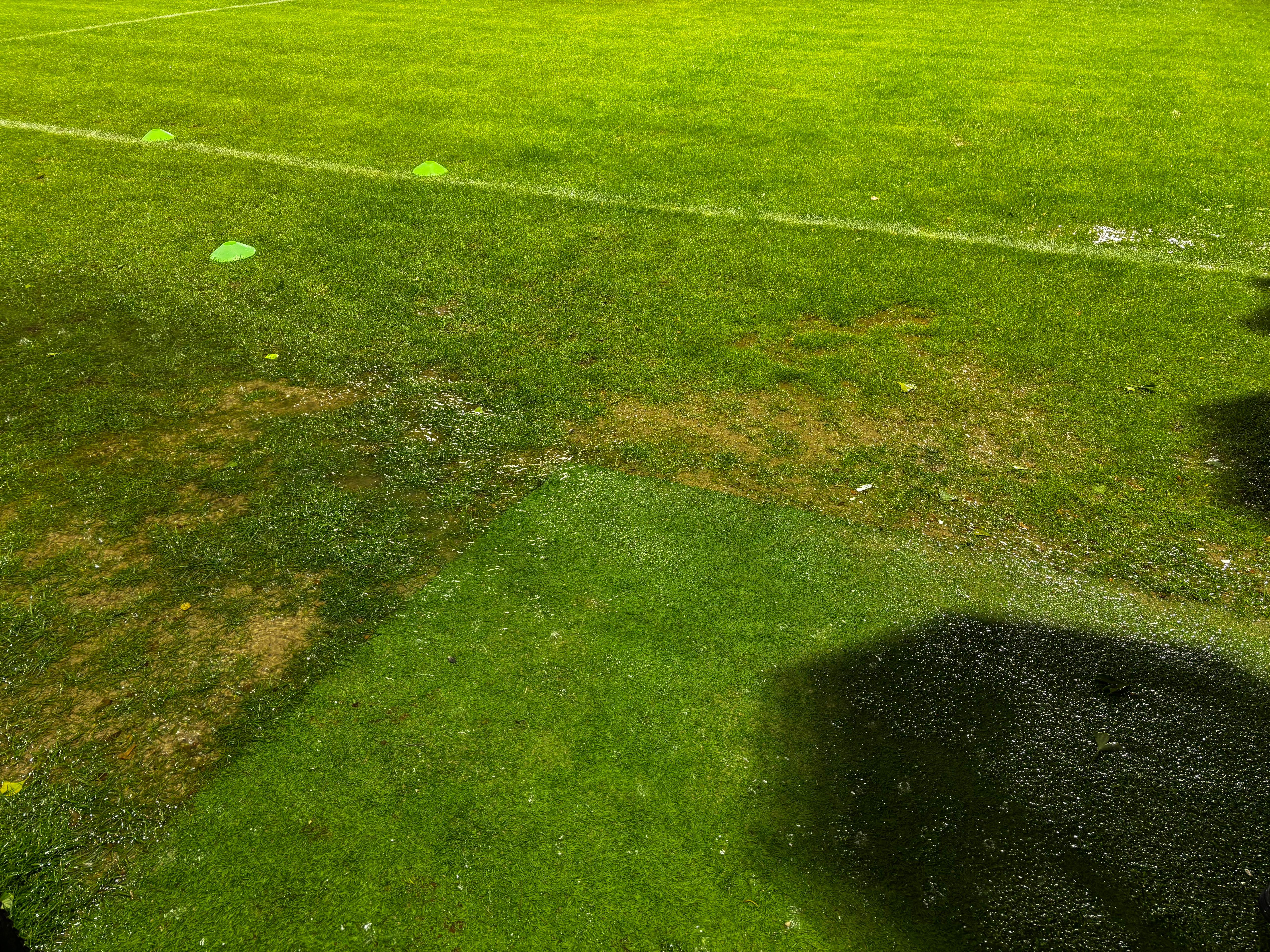 Whatsapp image 2025 10 03 at 192321