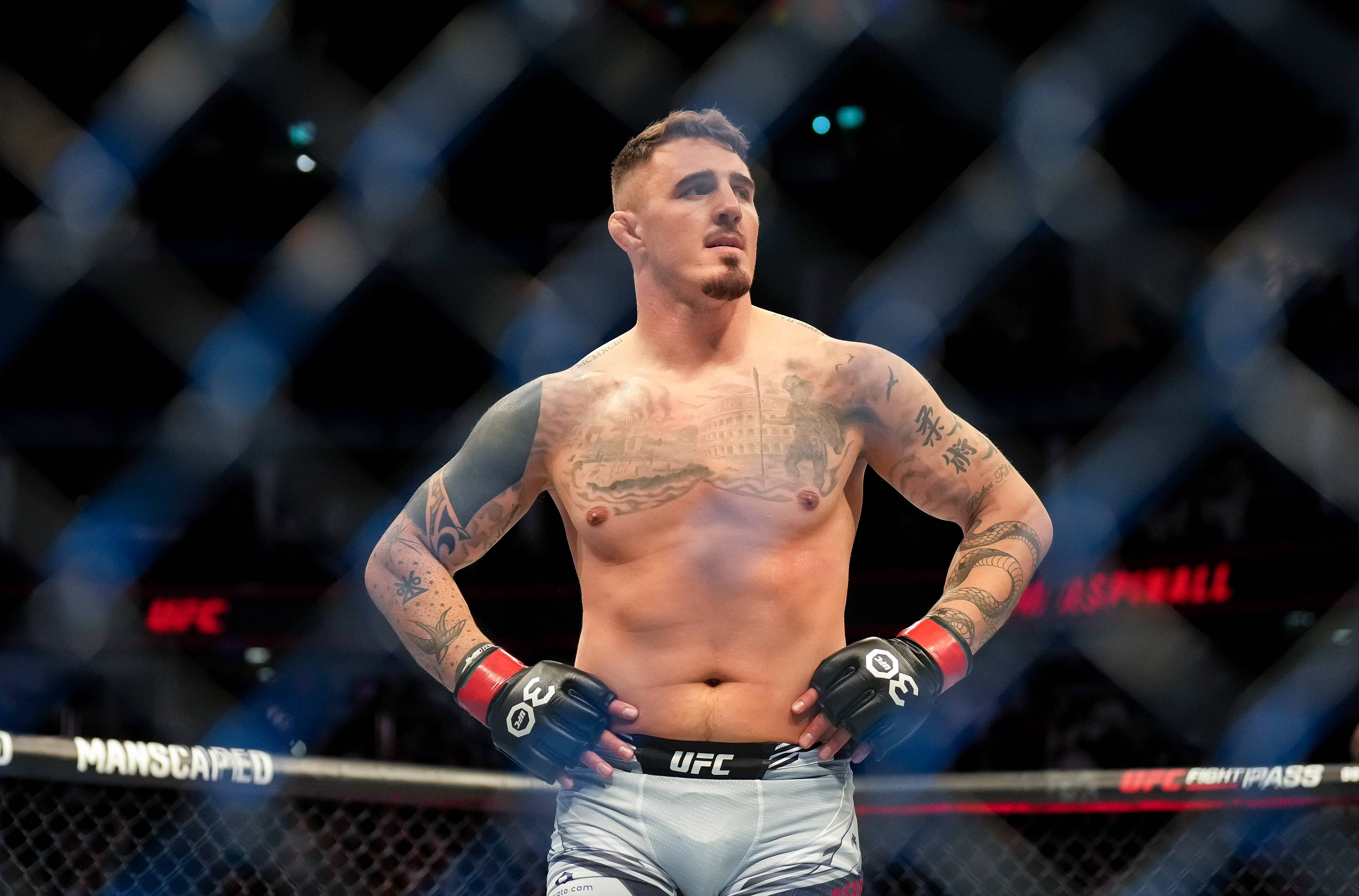 tom-aspinall-01.jpg?fm=jpg&q=80&fit=max&