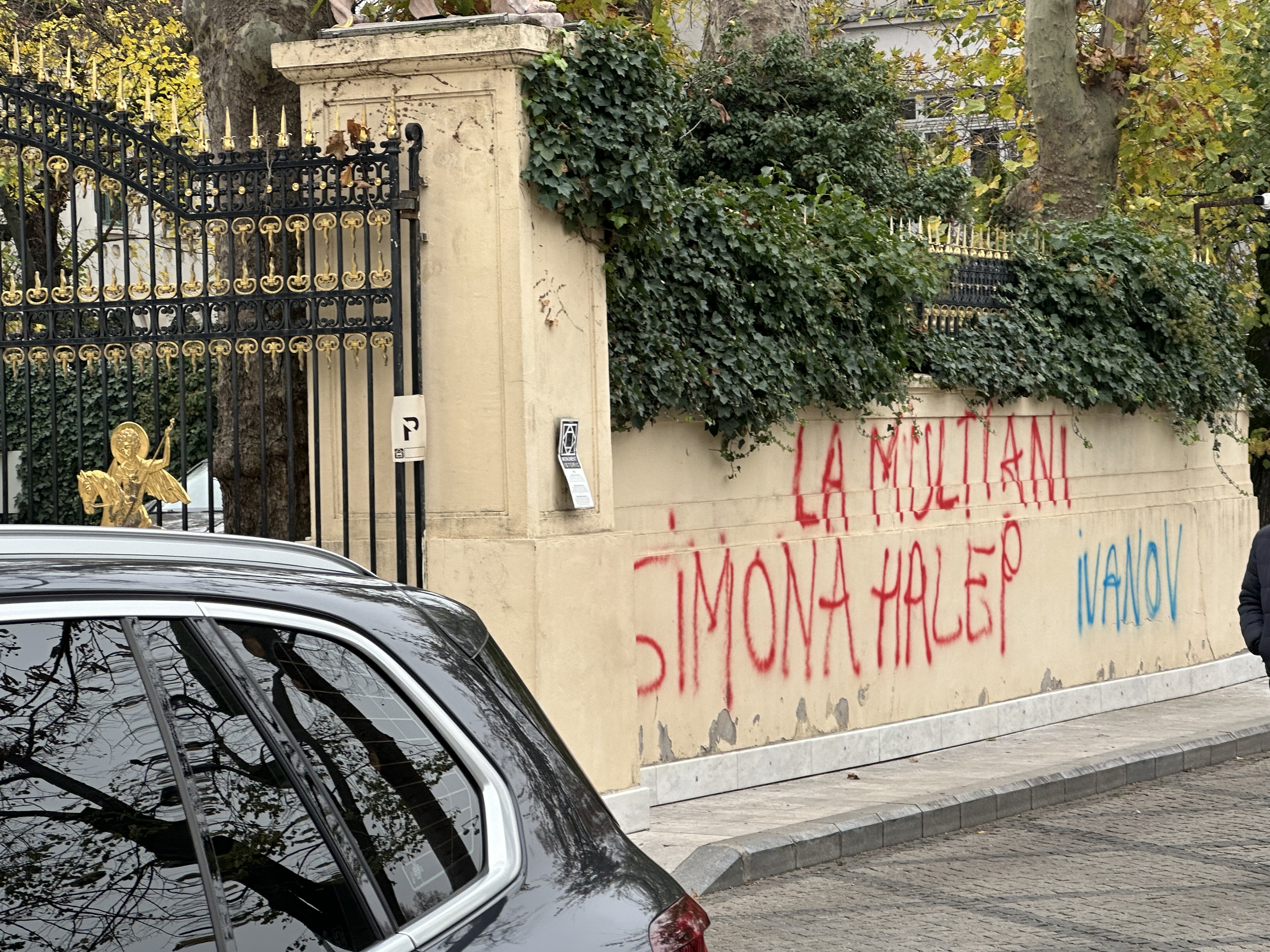 Palat becali vandalizat 8