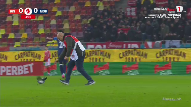 Moment amuzant &icirc;n Dinamo - Metaloglobus. Un porumbel a intrat pe Arena Națională și a oprit meciul