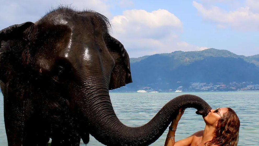 Anca Țurcașiu, val de critici după ce a postat imagini dintr-o vacanță &icirc;n care a făcut baie cu elefanții