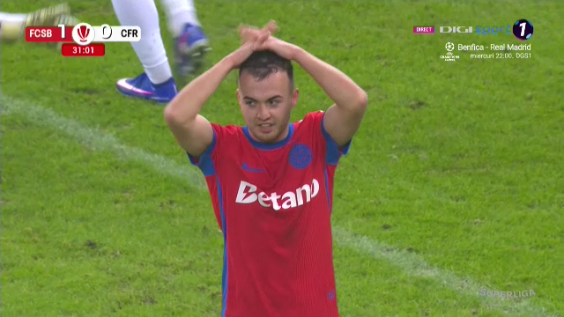 Ratare toma 40