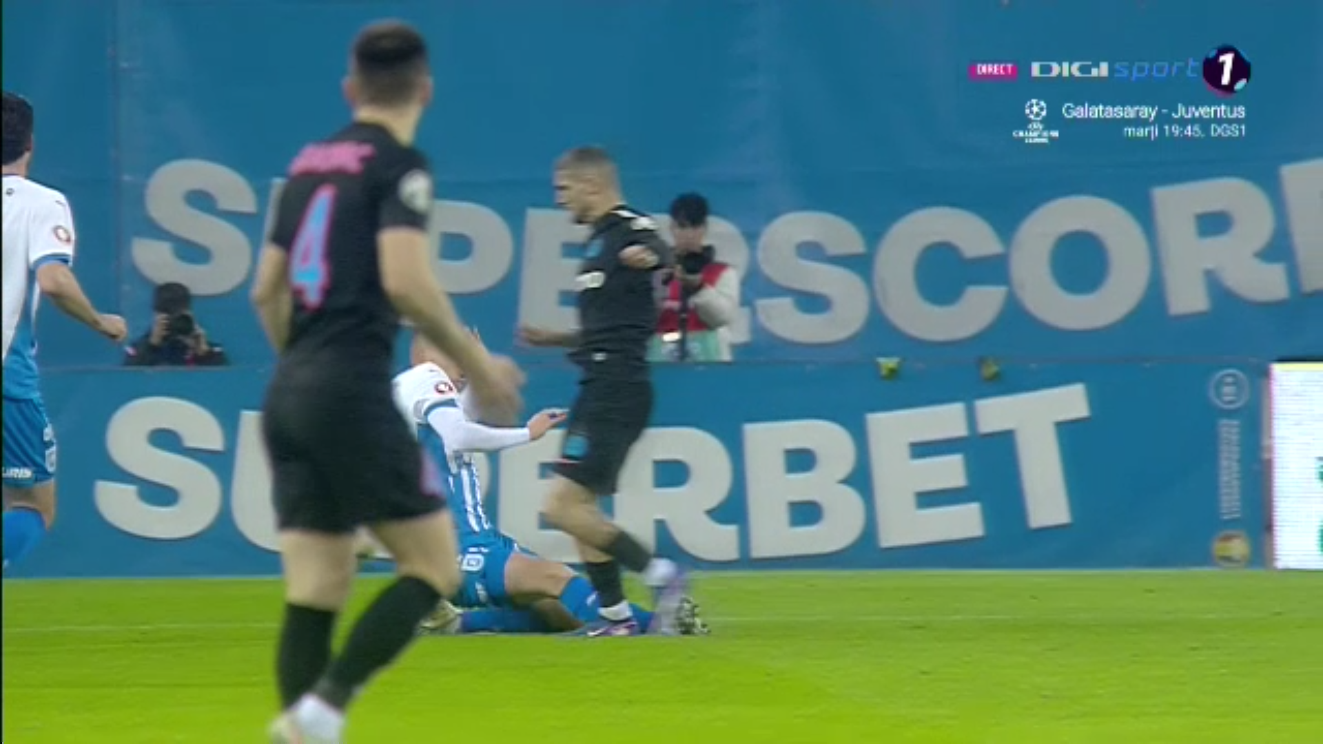 Birligea simulare 30