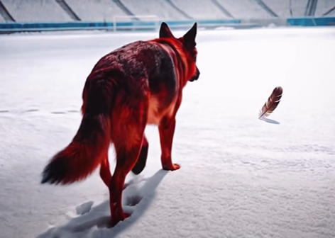 Scandal în inima lui ”vrem o țară ca afară”