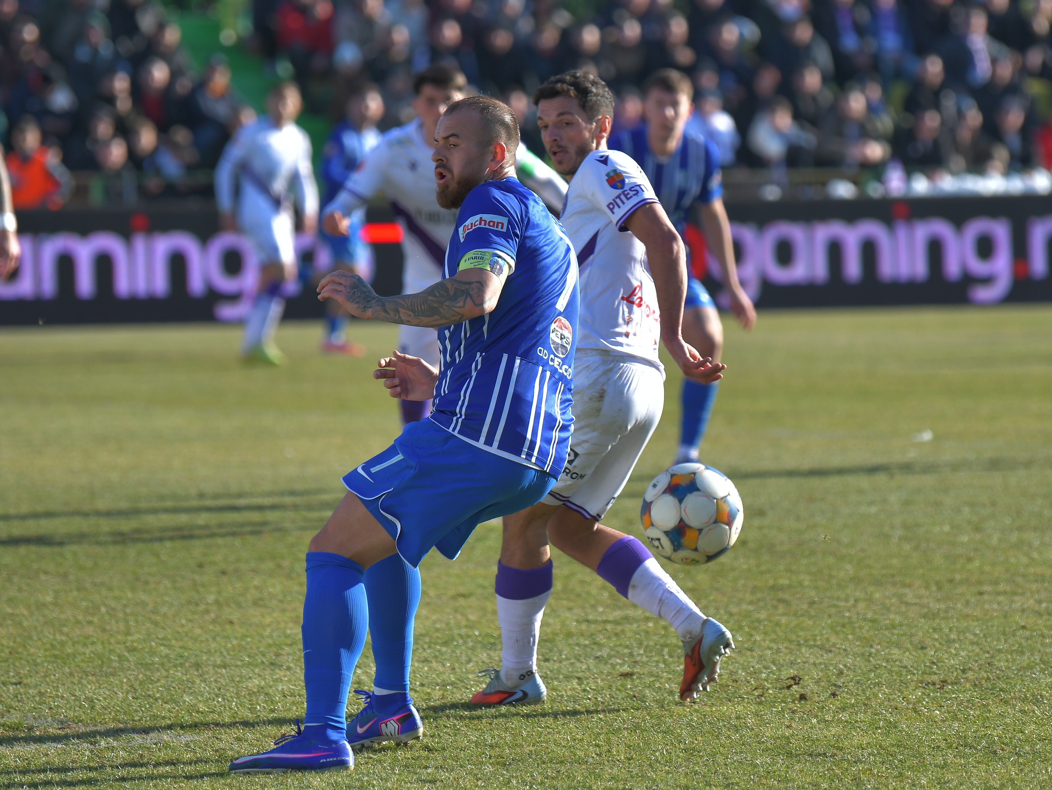 Fc arges fc farul constanta superliga superbet 22022026 2