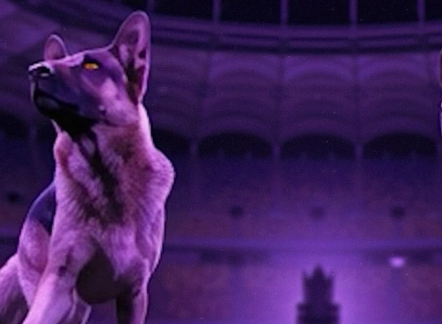 Dinamo, ironizată din nou printr-un video! A venit rândul lui FC Argeș: apare și Nicolae Dobrin