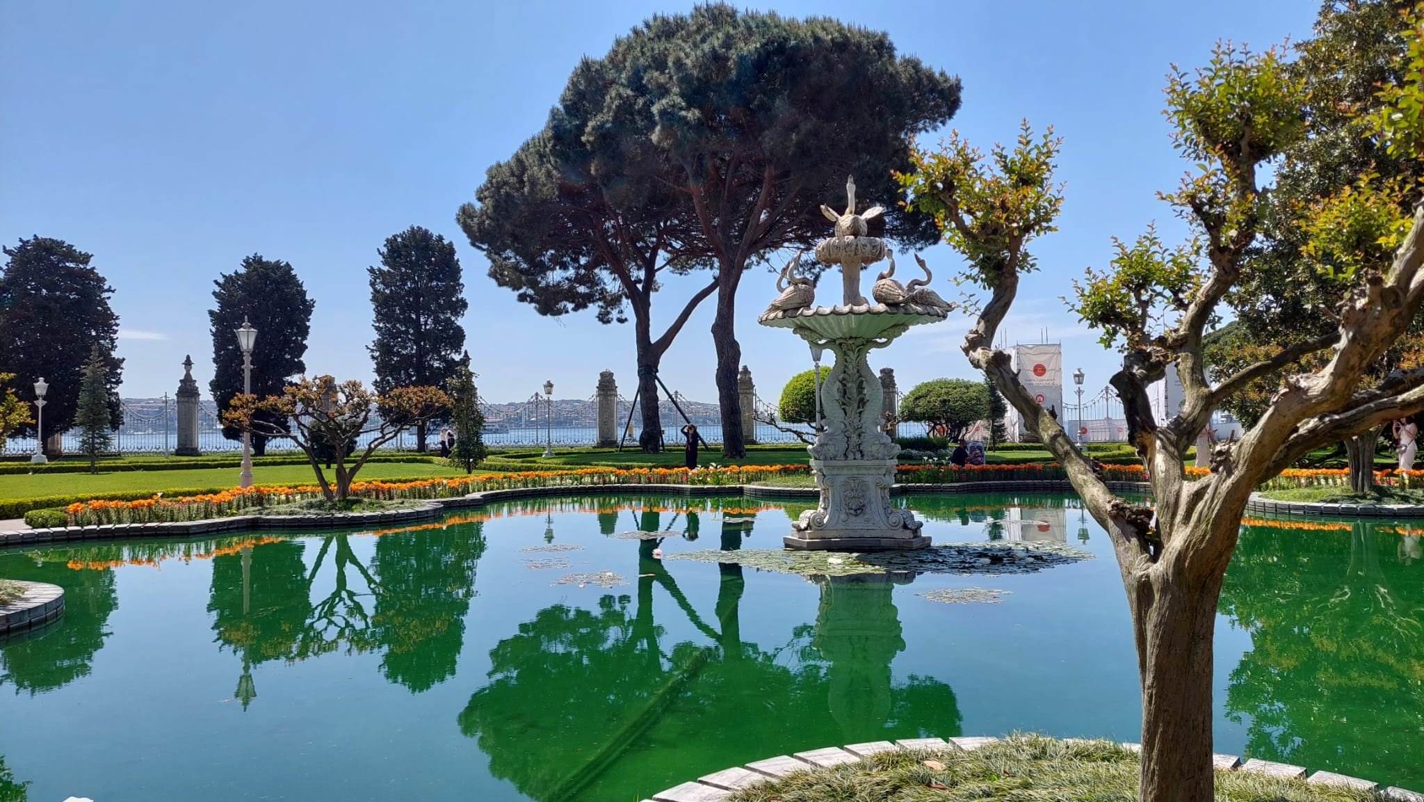 Palatul dolmabahce stadion besiktas 11