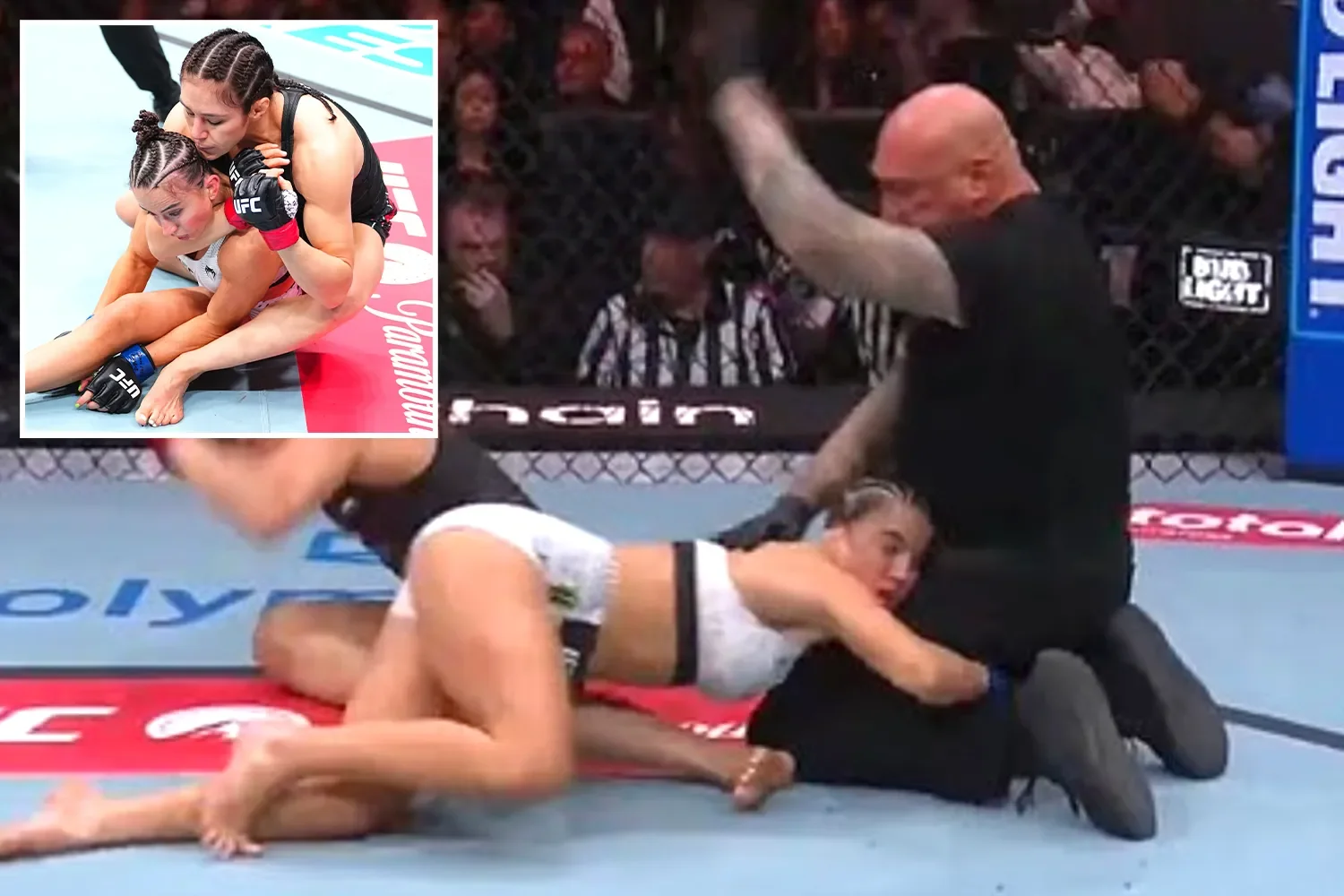Hb sport preview ufc