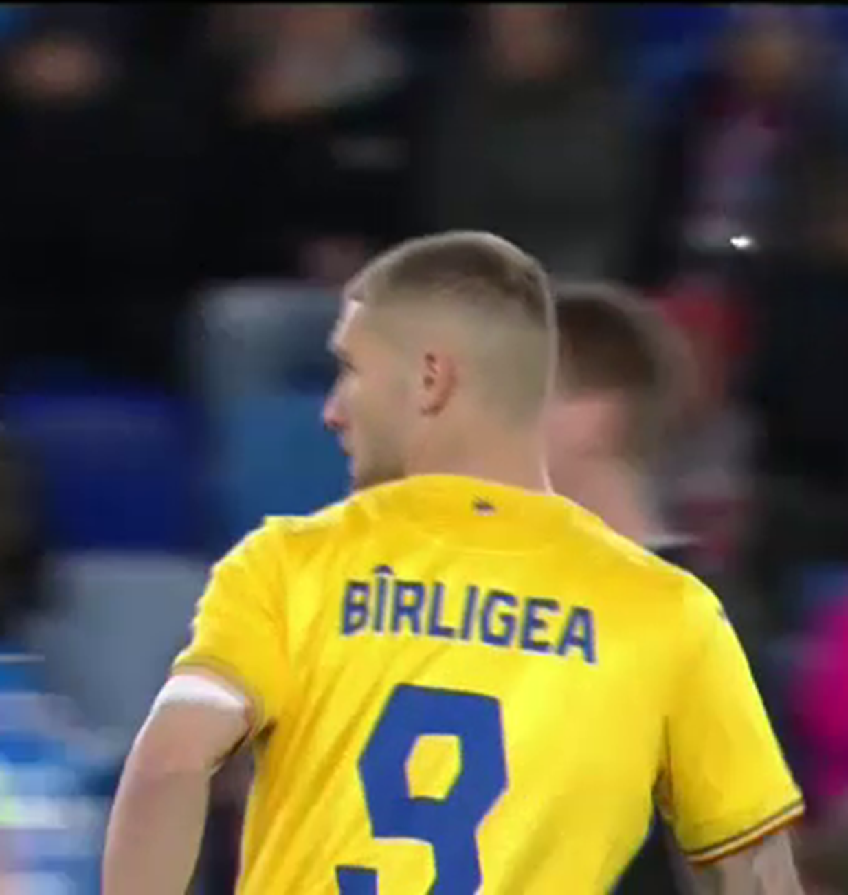 Birligea slovacia