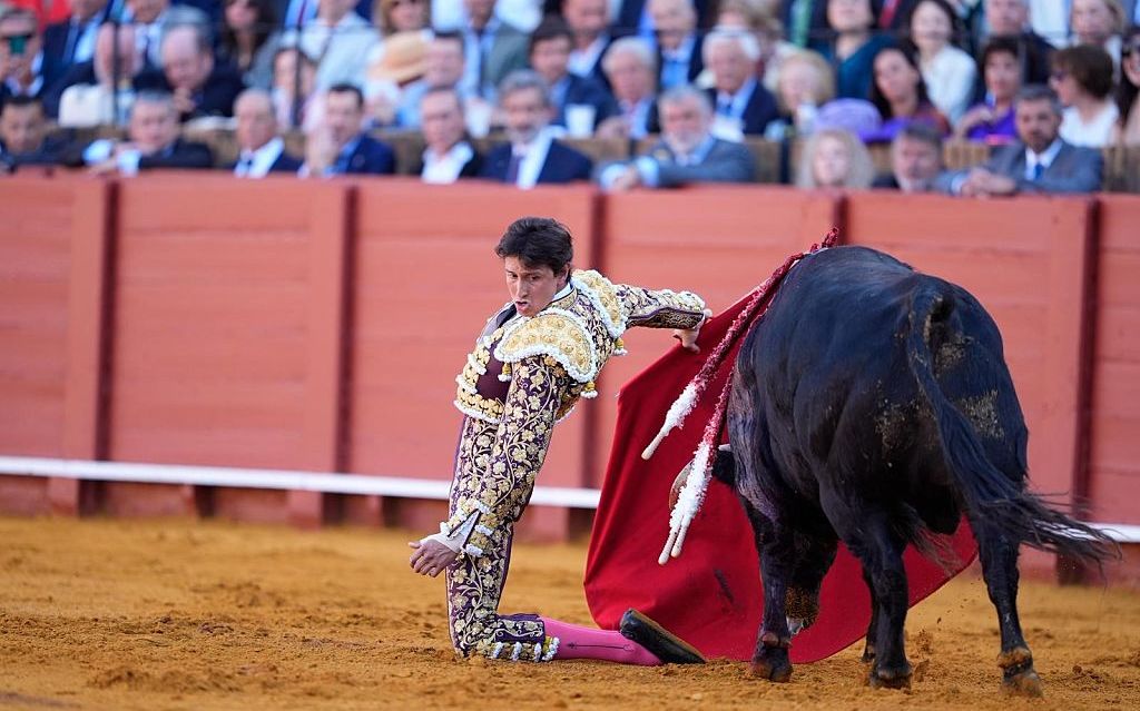 Cel mai bun toreador din Spania, rănit grav de un taur la o coridă din Sevilla. Spectatorii au privit cu groază cum acesta își înfige cornul drept în...