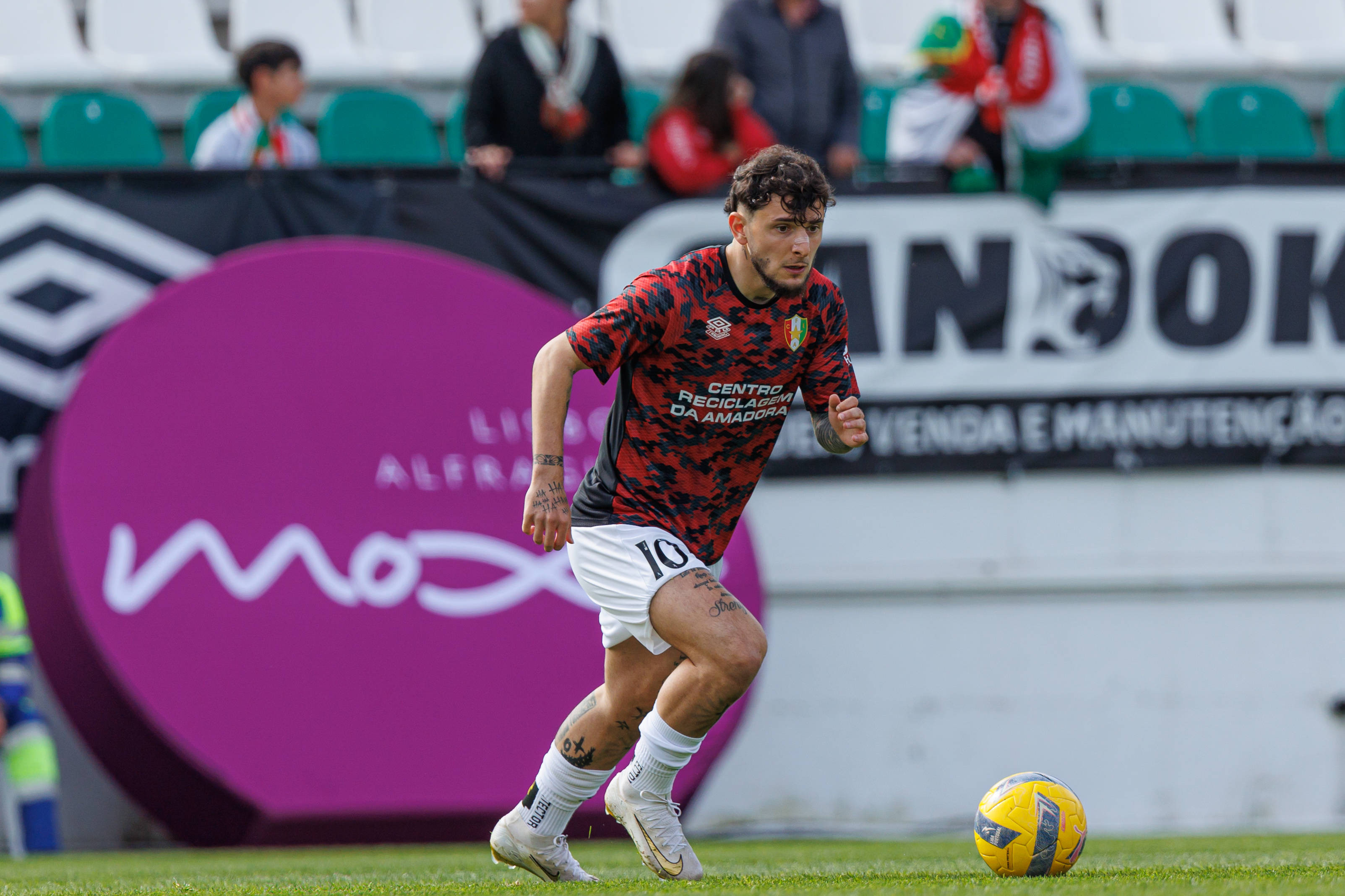 Ianis stoica 10