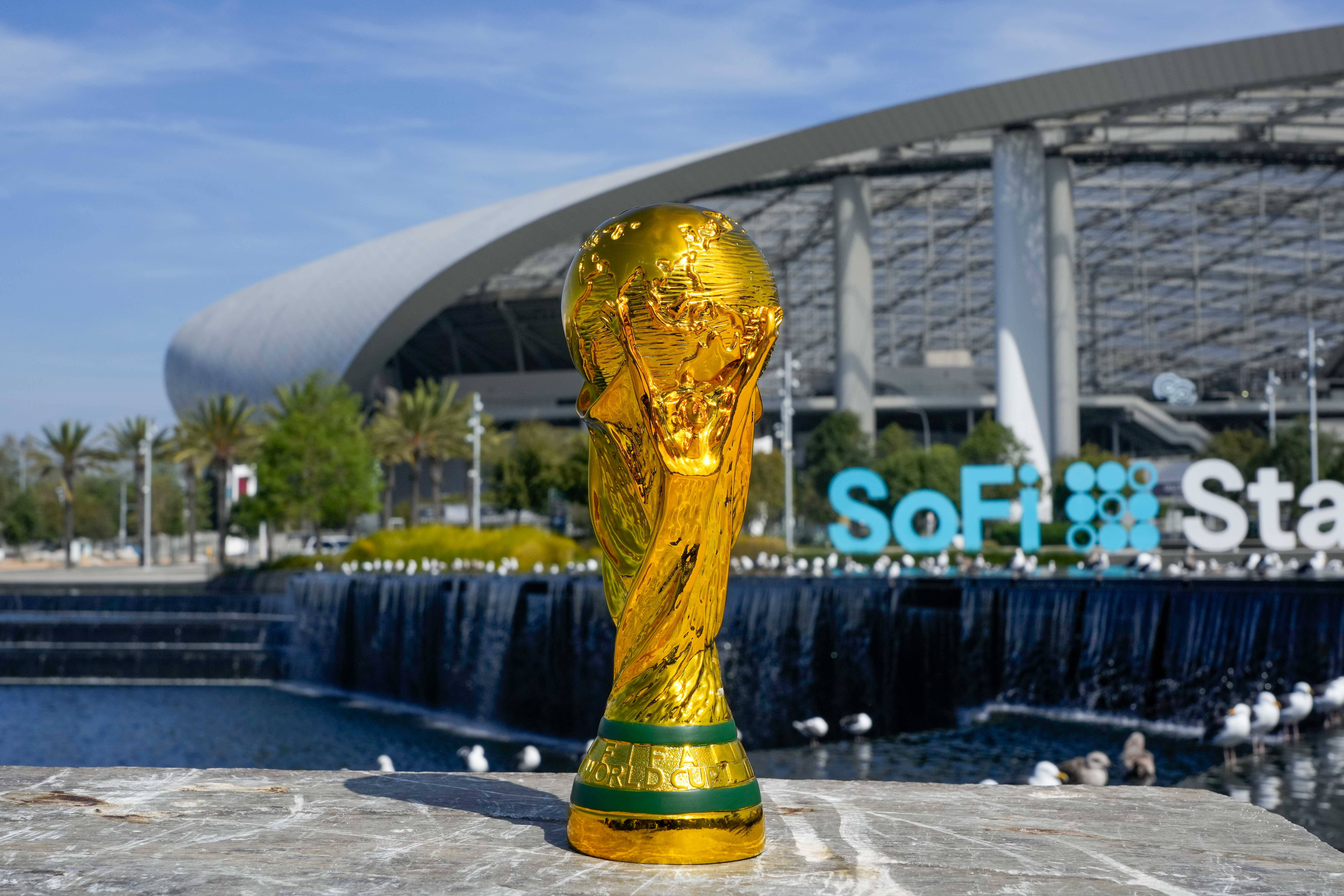 Iranul și-a anunțat decizia finală, înainte de Cupa Mondială