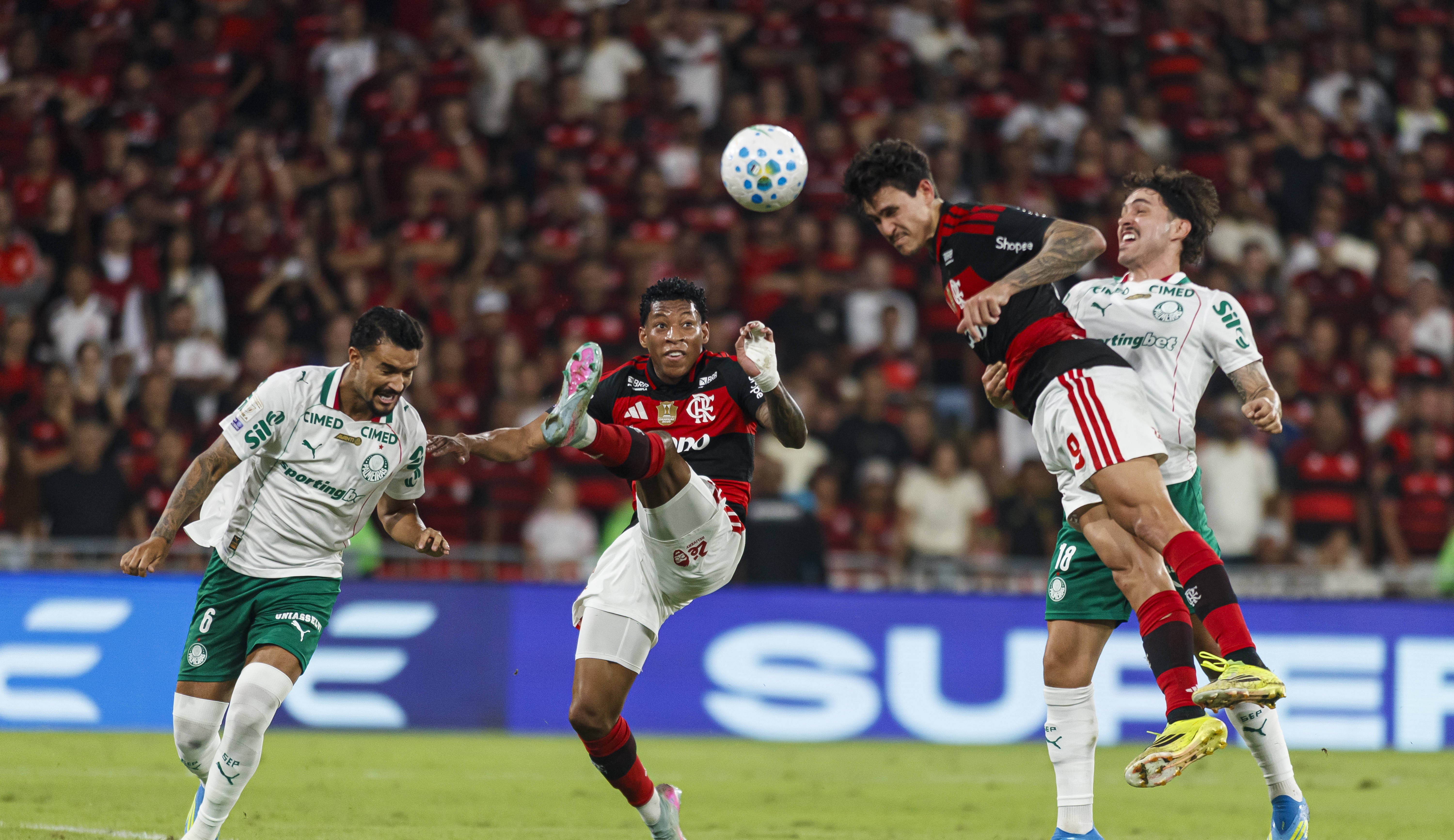 Palmeiras a zdrobit-o pe Flamengo: cum arată clasamentul din Brazilia