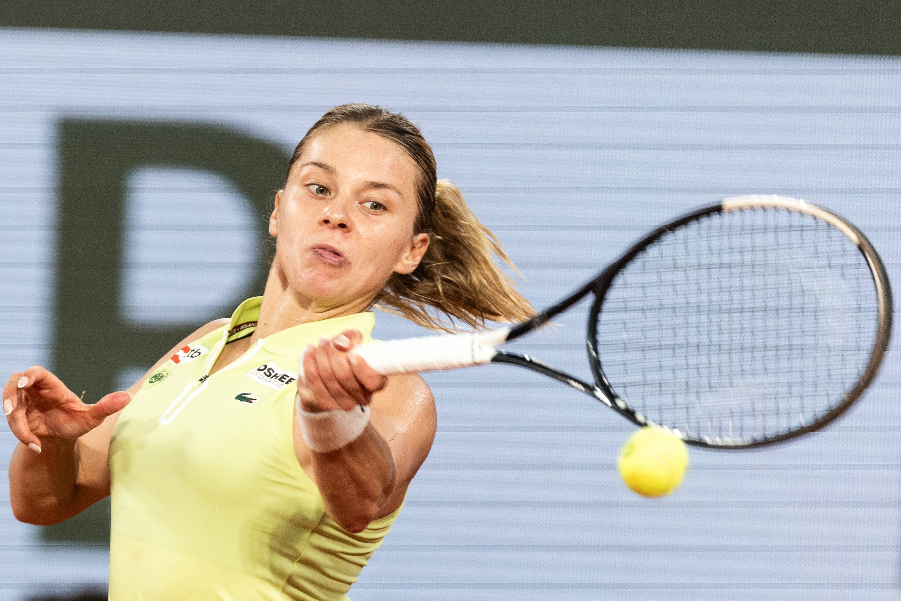 Maja chwalinska rg 2026 10