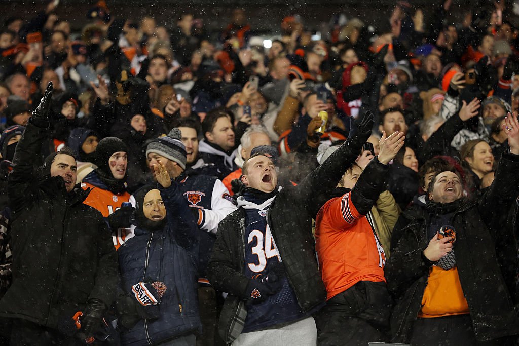 Bears 15