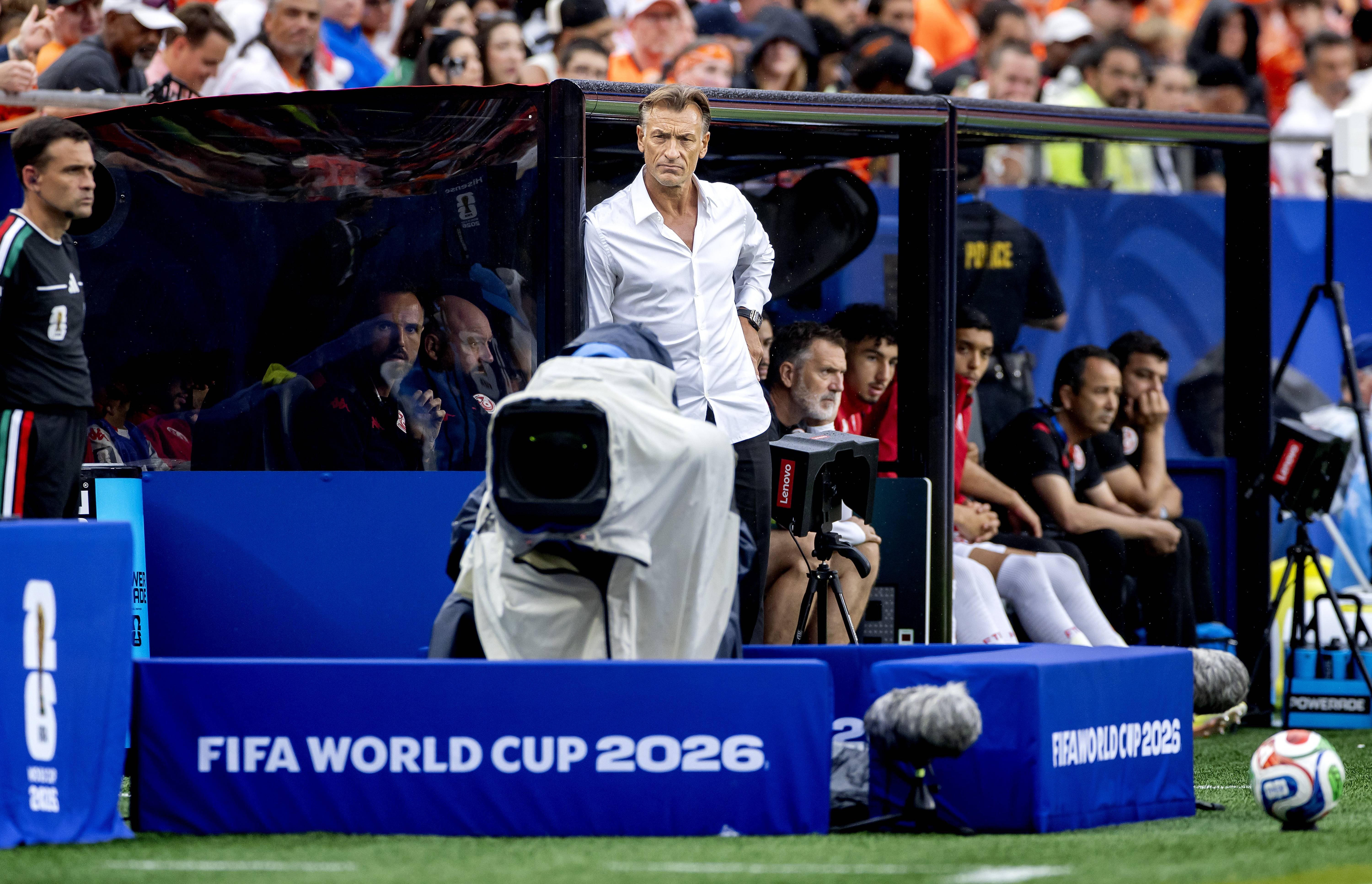 Herve renard 13