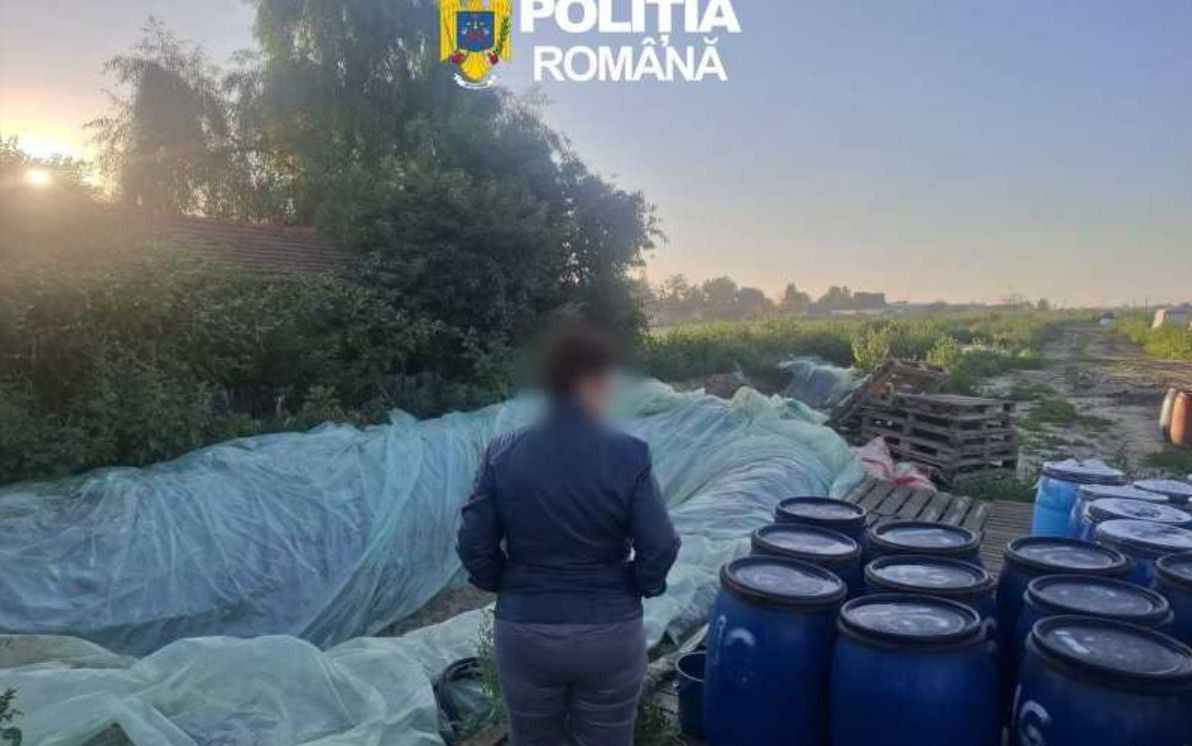 Ce au găsit autoritățile în mai multe gropi săpate în pământ, în Dâmbovița. Întreaga cantitate a fost distrusă pe loc