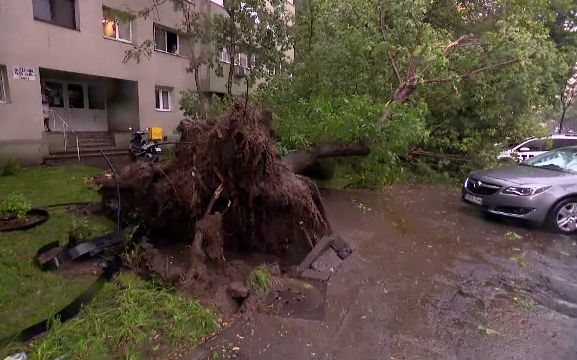 Vijelia a făcut ravagii în Capitală: copaci și stâlpi doborâți peste șosea. Gara de Nord a rămas fără curent pe linii