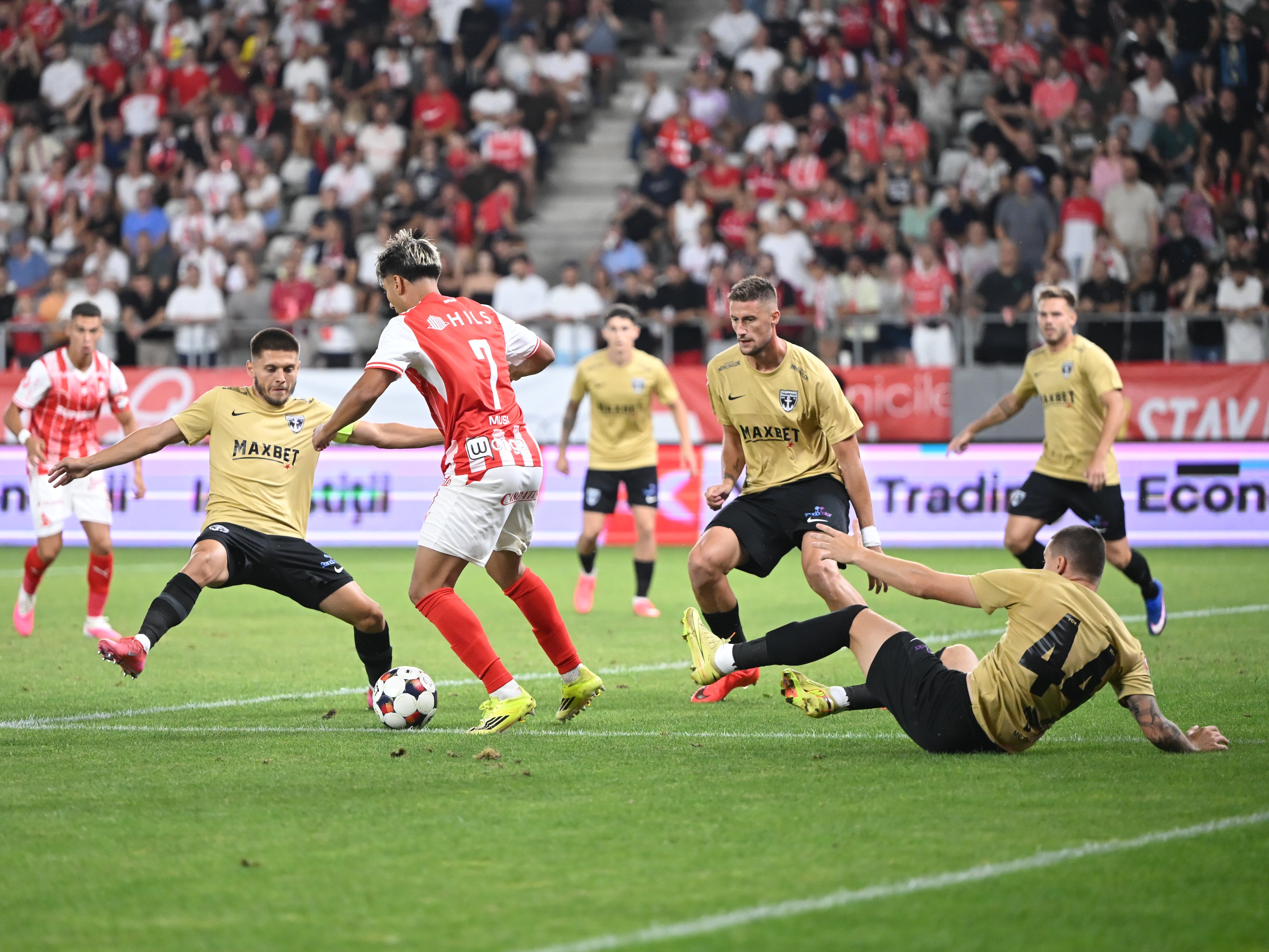 Dinamo bucuresti fc voluntari superliga superbet 8082026 12