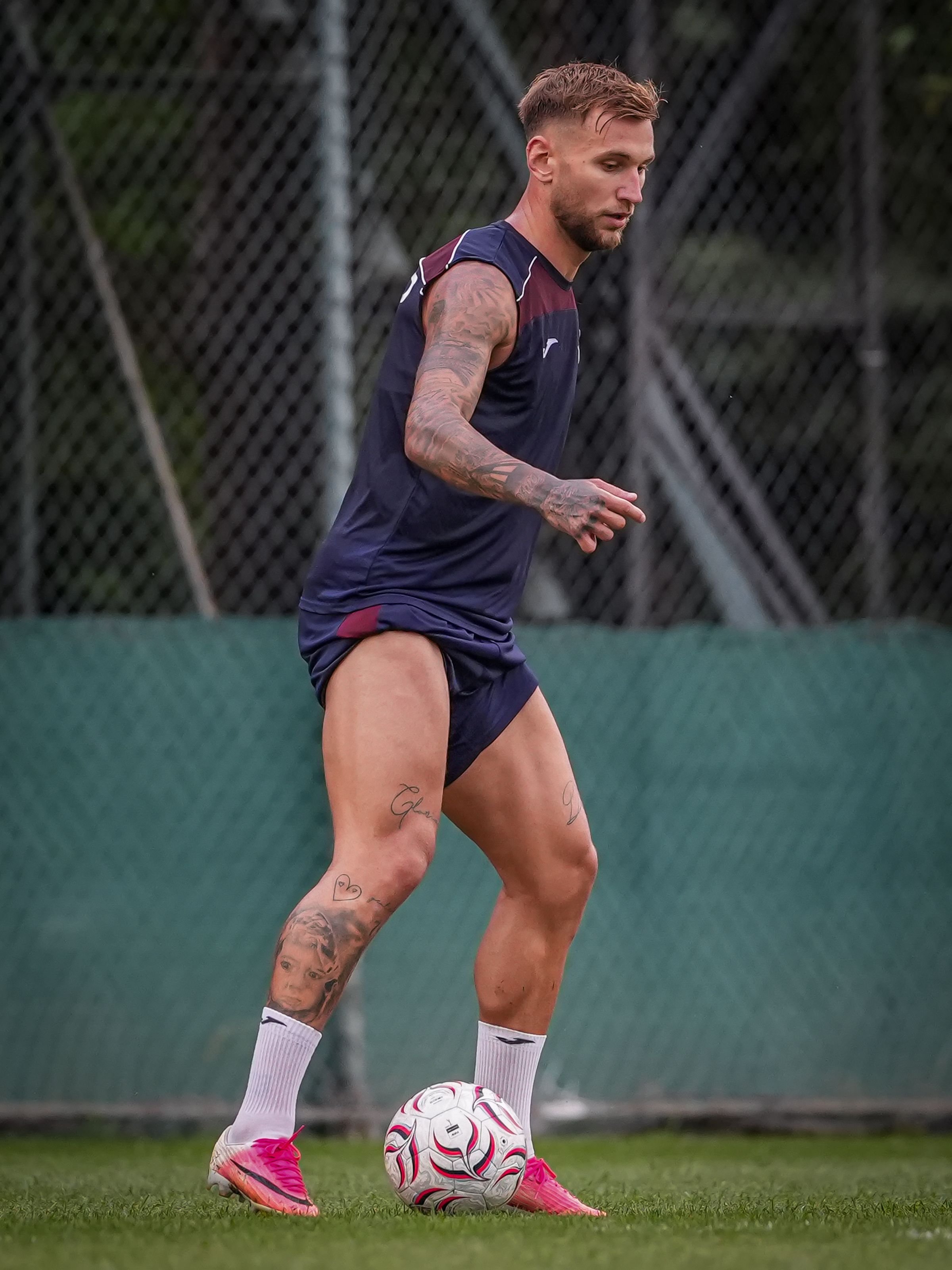 Denis dragus